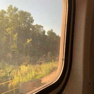 Meet your Posher, Lucy